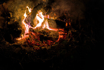 A campfire closeup, burning wood and pine cones 