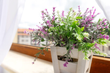 Artificial plant purple flower on window sill