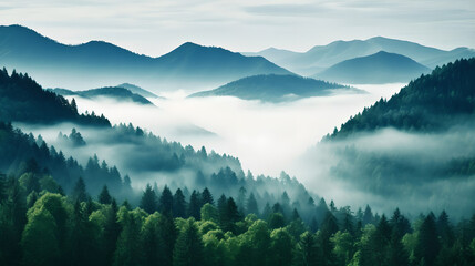 Beautiful Natural landscape background from forest  in mountains with fog, green trees, plants,...