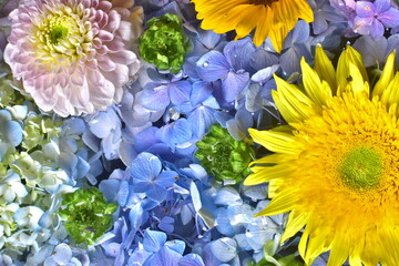 山口　山﨑八幡宮　紫陽花　花