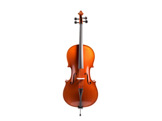 a close up of a violin
