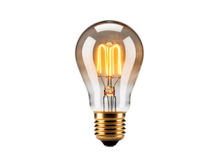 a light bulb with a filament
