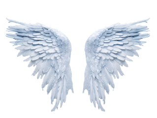 a pair of white wings