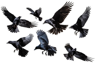 a group of black birds flying