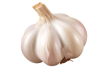 a close up of a garlic bulb
