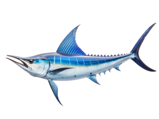 a blue fish with a long tail