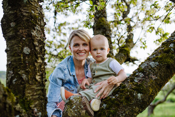 Portrait of beautiful mature first time mother with small toddler, outdoors in spring nature, sitting on tree branch.