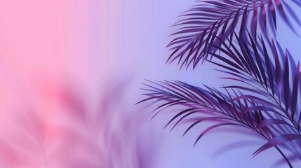 Natural Palm Leaves Shadow On A Gradient Background, Cartoon Background