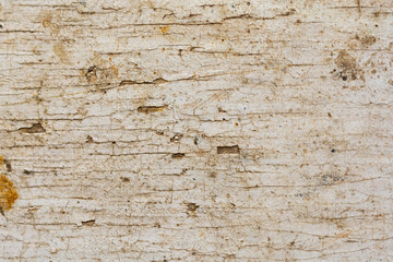 The texture of an old wooden surface covered with white paint