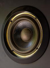 Acoustic speaker in close-up. Dust-covered parts