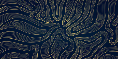 Vector line abstract wave pattern, organic texture map, topography modern graphic. Geometric art shapes, curve digital illustration. Gold on dark blue banner