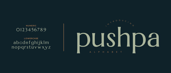 Pushpa elegant font alphabet uppercase lowercase and number. Classic lettering minimal fashion designs. Typography modern serif fonts regular decorative vintage concept. Vector illustration