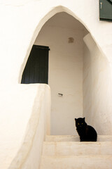 An example of a house from the picturesque and charming village of Binibeca with a black cat...