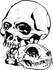 Human and cat skull animal lovers tattoo idea vector art black and white