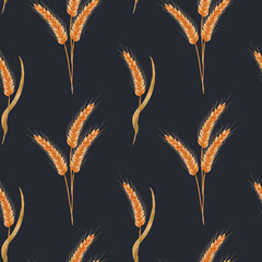 Watercolor ear of ripe wheat. Botanical seamless pattern with grain. An ear of grain, wheat, barley on a dark blue background. Design for packaging of baked goods, cereals, fabric and paper.