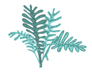 Abstract fern plant in flat design. Greenery foliage, wild forest bush. Vector illustration isolated.