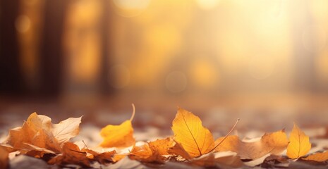 beauty of autumn with a close-up view of vibrant leaves scattered on the ground, creating a stunning natural tapestry of colors against the backdrop of falling foliage.