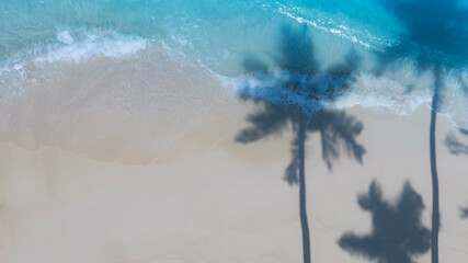 Summer palm tree  and Tropical beach with blue  of seashore background