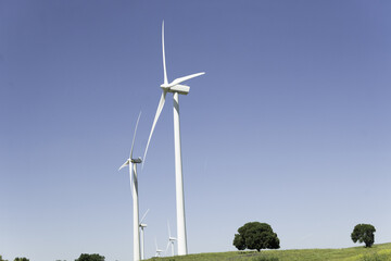 A row of wind turbines are lined up in a field.Renewable energy concept.