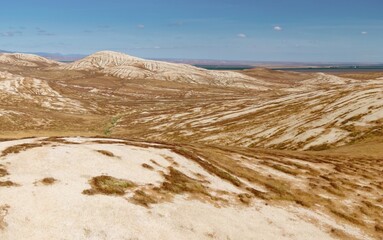 Desert hills covered in dry brown grass texture. Lost Hills, California, United States of America.