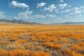 Another sunny day with desert views professional photography