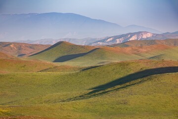 Old soft grass and flower covered hills. Carrizo National Monument, Santa Margarita, California, United States of America.
