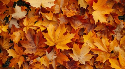  leaves on a bed of leaves