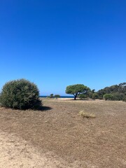 Landschaft in Spanien