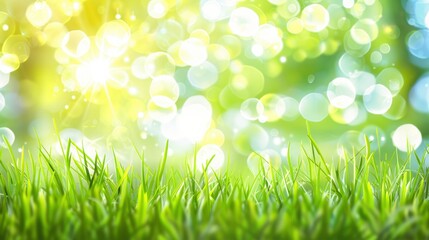 Obraz premium Fresh Spring Grass In A Blurred Green Natural Setting, Cartoon Background