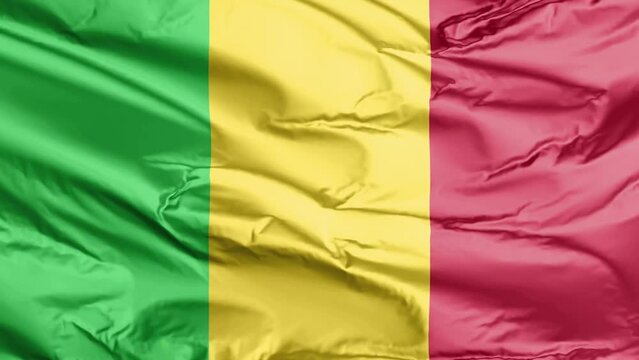 waving flag of mali