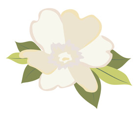 Abstract white peony head in flat design. Wedding blossom with leaves. Vector illustration isolated.
