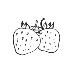 Simple linear black ink hand drawn strawberry. Sketch vector illustration.