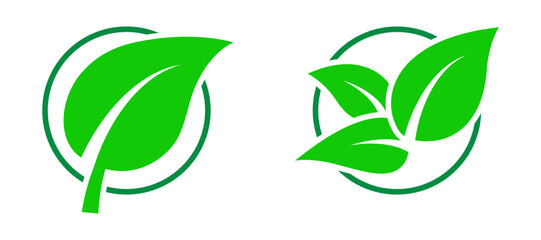 Leaf in a circle icon. Vector illustration.