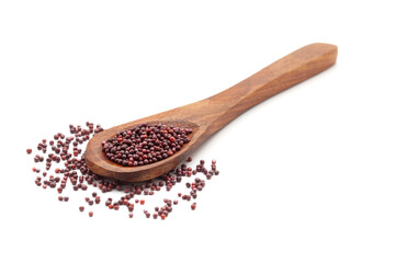 Front view of a wooden spoon filled with Organic Turnip (Purple Top) Seeds (Brassica rapa)....