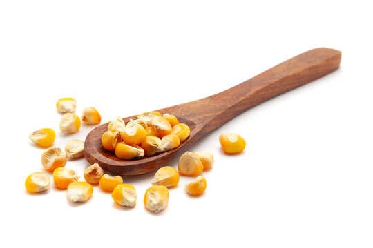 Front view of a wooden spoon filled with Organic Corn Seeds (Zea mays) or Makka. Isolated on a white background.