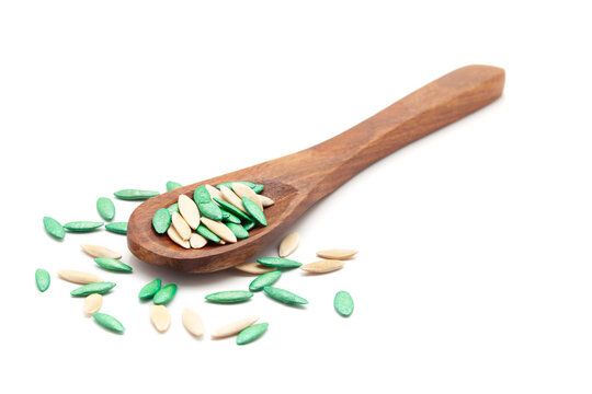 Front view of a wooden spoon filled with Organic cucumber (Cucumis sativus) seeds. Isolated on a white background.