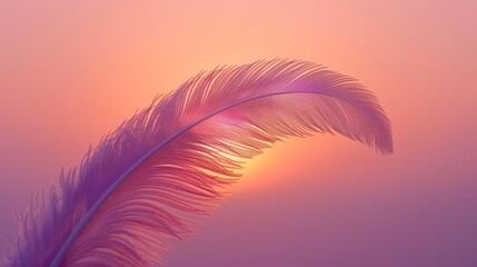   A pink feather, closely framed, against a purple and pink backdrop Sun casting light from beyond the scene
