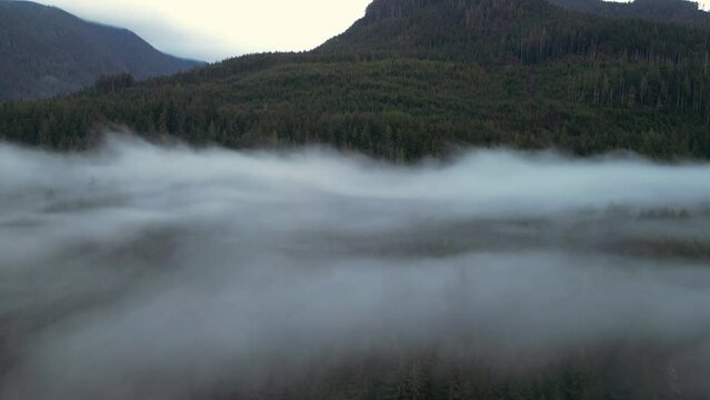 Aerial view of Foggy Trees and Mountains at Sunrise. Summer Season. Port Renfrew, Vancouver Island, BC, Canada.