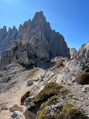 Berg