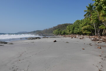 Sandstrand mit Palmen und tropischen Bäumen an der Küste von Montezuma auf der Halbinsel Nicoya bei Puntaremas in Costa Rica