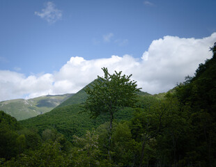 Cime delle montagne a Piobbico nelle Marche