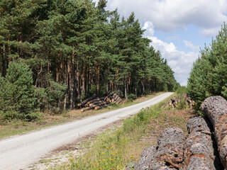 Fototapeta premium Dirt road