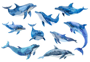 High detailed watercolor dolphins set. Blue colors. Isolated on white background