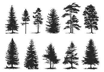 Vintage isolated trees and forest black silhouettes.Vector graphic