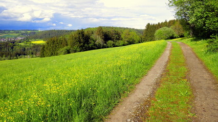 herrliches Panorama im Schwarzwald vom Höhenweg  auf Wald und grüne Wiesen unter weißen Wolken
