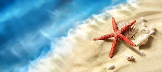background with starfish and shells on the seashore