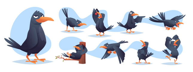 Black crows. Funny cartoon birds in different poses flying and standing exact vector crows