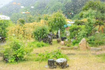 the scenery of the park's walking paths in the spring with trees and flowers wet in the rain