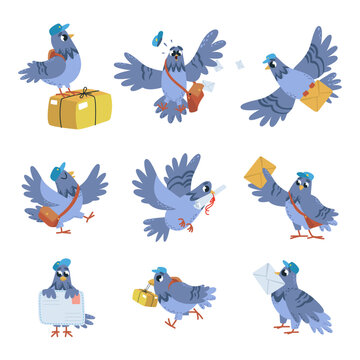 Pigeon post characters. Cartoon pigeon letters and parcel delivery. Cute bird mail, doves holding envelopes and scroll, classy vector clipart
