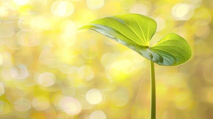 Naklejka premium A tight shot of a green leaf on a plant against a softly blurred backdrop of nearby leaves